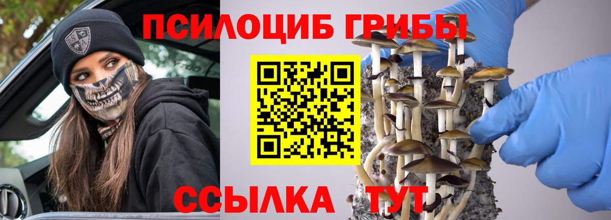 Псилоцибиновые грибы ЛСД Северобайкальск